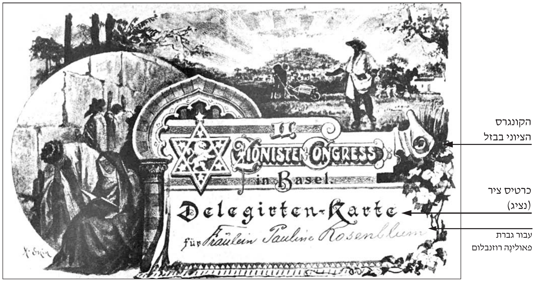 כרטיס מאויר בשחור־לבן. משמאל: אנשים מתפללים ליד קיר אבנים גדול (הכותל המערבי), ובהם אישה יושבת וקוראת בספר. מימין למעלה: נוף כפרי ובו איכר בכובע רחב זורע בשדה ואדם נוסף עובד עם מריצה. במרכז: מגן דוד ובתוכו אריה, וכיתוב בגרמנית: «II. Zionisten-Congress in Basel» (הקונגרס הציוני השני בבזל), «Delegirten-Karte» (כרטיס ציר) ובכתב יד «für Fräulein Pauline Rosenblum» (עבור העלמה פאולינה רוזנבלום). בפינה השמאלית התחתונה חתימת האמן. מימין לכרטיס שלושה חיצים עם תוויות בעברית שהוסיפו מחברי השאלון: «הקונגרס הציוני בבזל», «כרטיס ציר (נציג)», «עבור גברת פאולינֶה רוזנבלום».