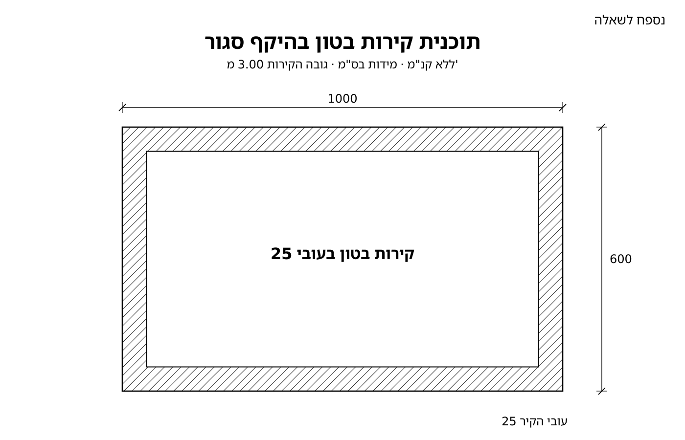 תוכנית של קירות בטון בעובי 25 ס"מ היוצרים מלבן סגור, מידות חוץ 1000 על 600 ס"מ, גובה הקירות 3.00 מ'