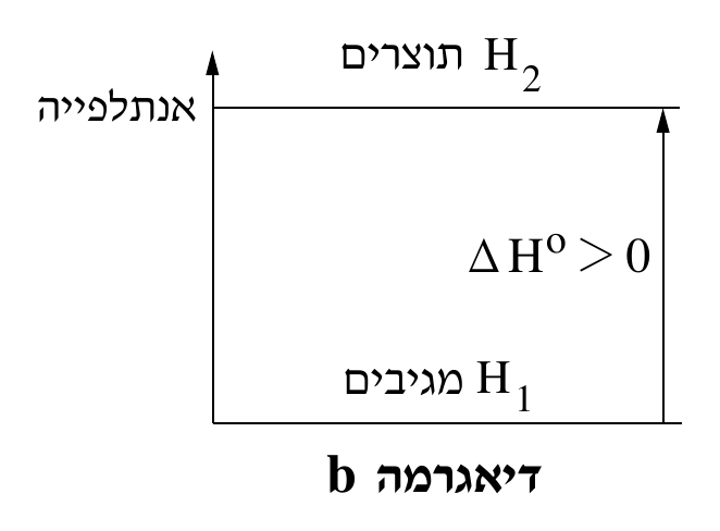 דיאגרמה b