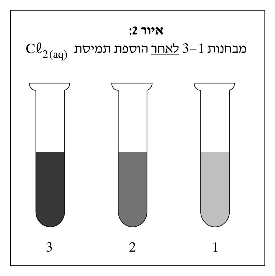 איור 2