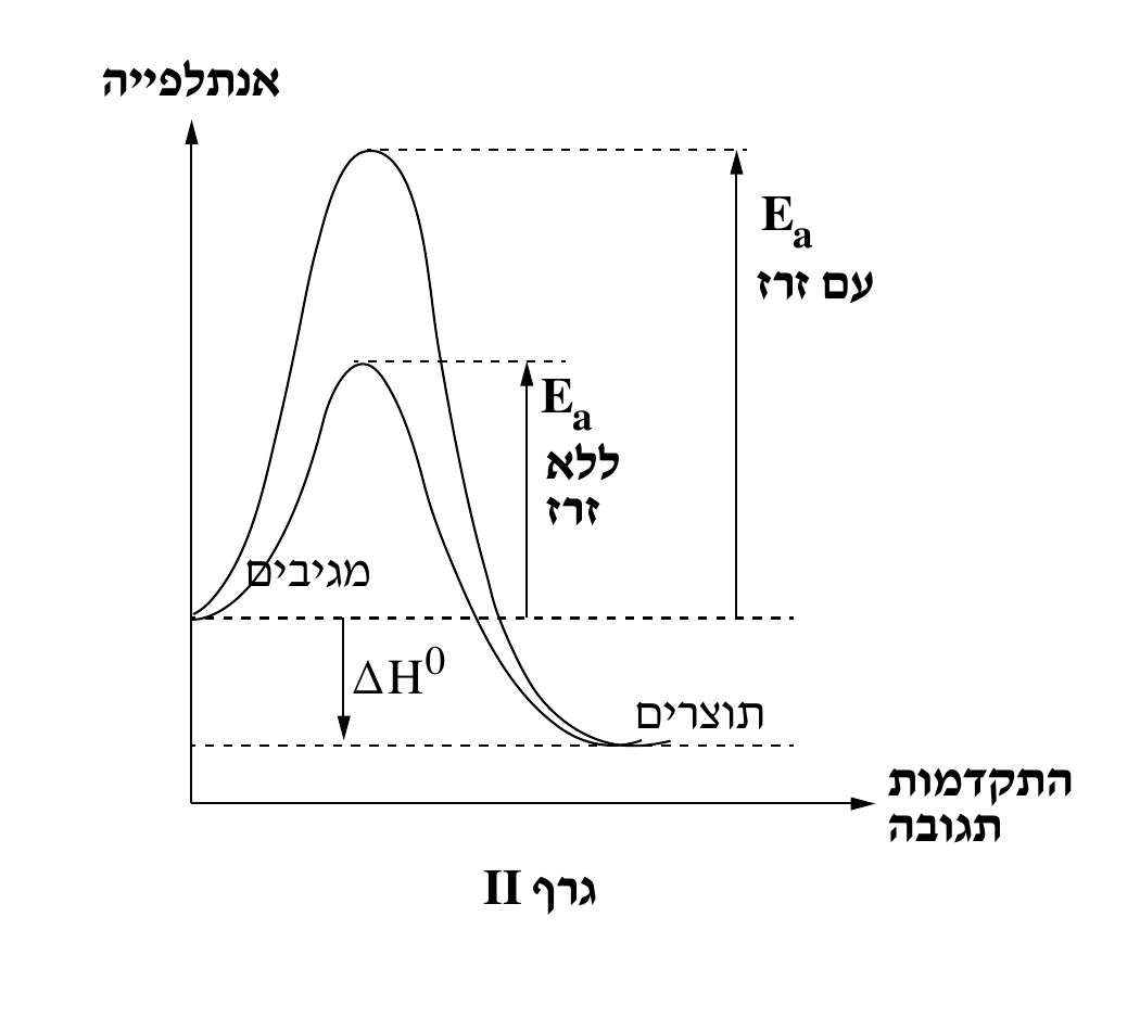 גרף II