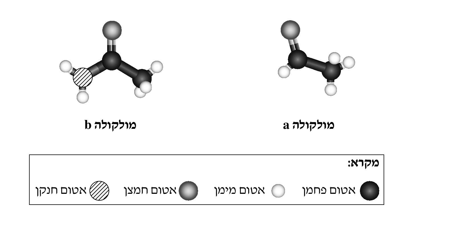 שני מודלים כדור-ומקל של מולקולות, ומתחתם מקרא במסגרת