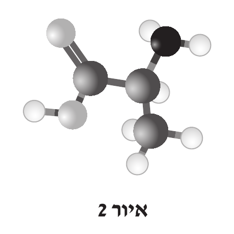 איור 2 הכיתוב «איור 2» מתחת לציור: מודל כדורים ומקלות של מולקולה, צבעי הכדורים לפי המקרא. במודל שלושה כדורי פחמן. פחמן אחד שמאלי קשור בקשר כפול שני מקלות לכדור חמצן למעלה, ובקשר יחיד לכדור חמצן נוסף למטה, ולחמצן התחתון ק