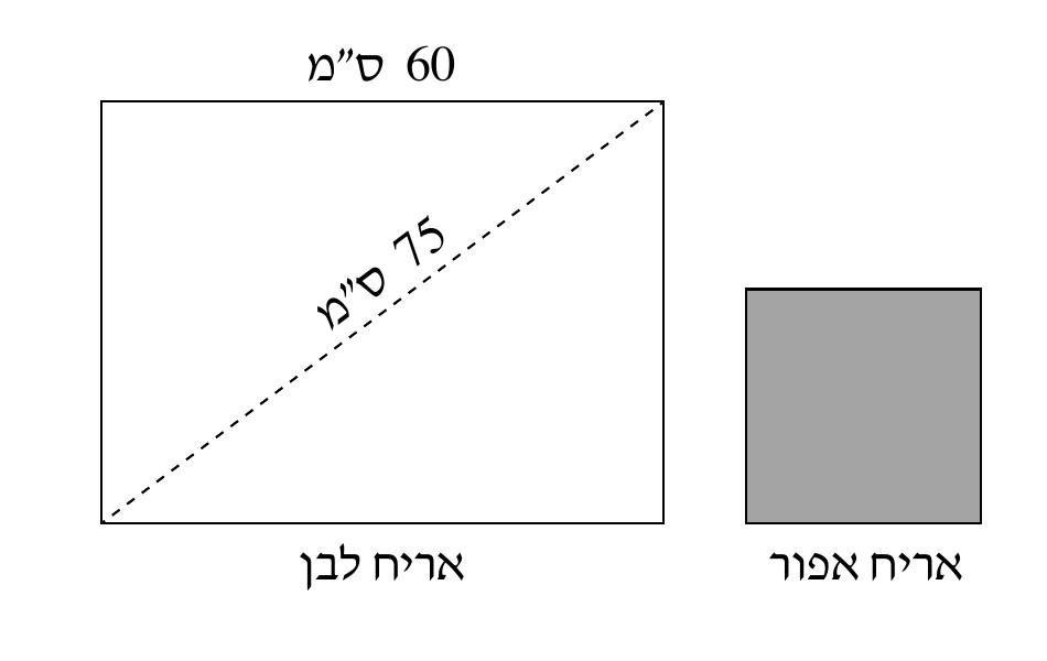 מלבן לבן וריבוע אפור לשאלה 4