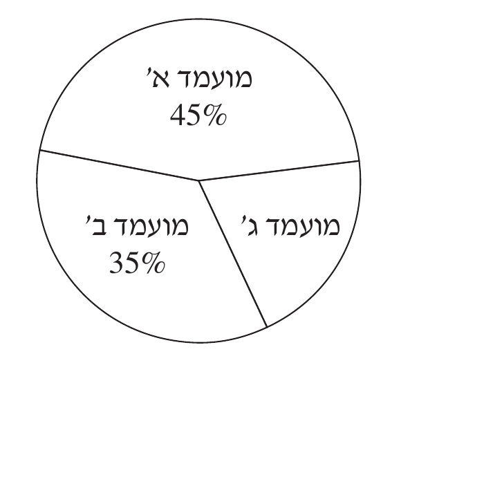 דיאגרמת עיגול — תוצאות הבחירות לעירייה לפי מועמד