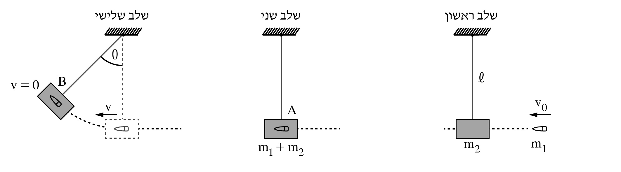 שלושה תרשימי-משנה מסודרים זה-לצד-זה (מימין לשמאל, בהתאם לכותרות RTL): 'שלב ראשון' (ימין) — חוט אנכי מלא באורך ℓ (מסומן) תלוי מתקרה מוצללת (הצללה אלכסונית), ובתחתיתו גוף מרובע אפור 