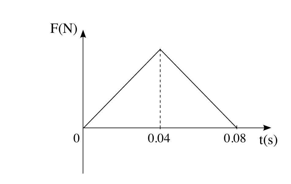 תרשים 2: גרף F(N) (ציר אנכי) כפונקציה של t(s) (ציר אופקי) בצורת משולש: קו ישר עולה מהראשית (0,0) לערך מרבי בזמן t=0.04 (מסומן בקו מקווקו אנכי מנקודת השיא אל ציר הזמן), ולאחר מכן יו
