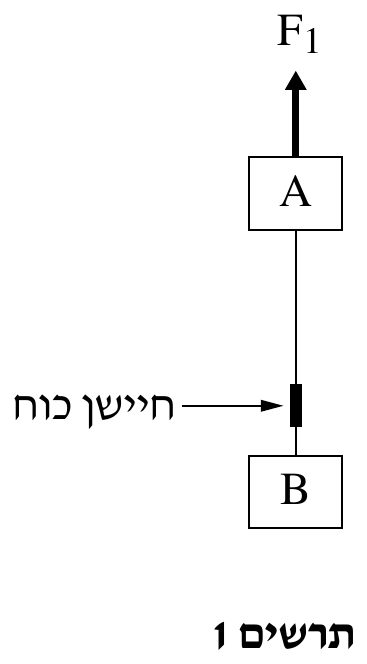 תרשים 1 — שני גופים תלויים זה מתחת לזה. בחלק העליון חץ אנכי עבה המצביע כלפי מעלה, ומעליו הכיתוב F_1 . מתחת לחץ מלבן ובתוכו האות A . מן הצד התחתון של המלבן A יורד קו אנכי דק — החוט