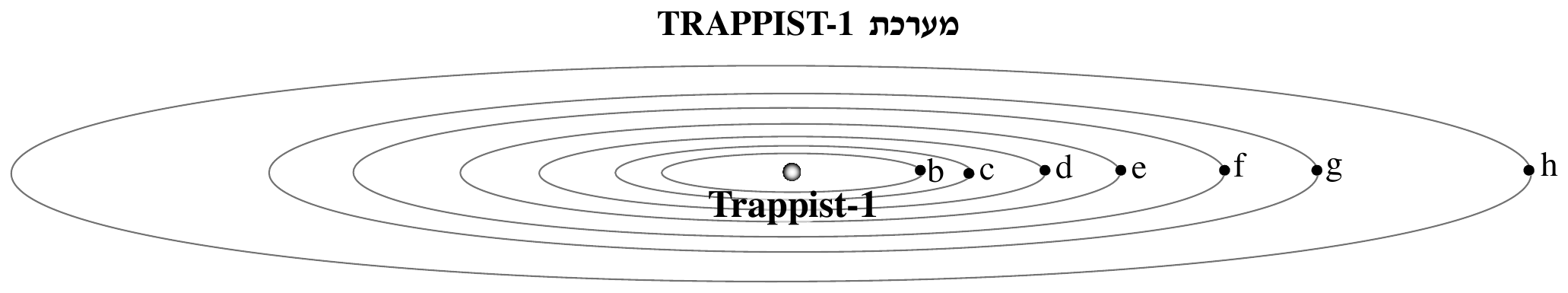 תרשים מערכת TRAPPIST-1 . מעל התרשים כותרת מודגשת: «מערכת TRAPPIST-1». התרשים מורכב משבע אליפסות קונצנטריות רחבות ושטוחות בקו רציף דק — מסלולי כוכבי הלכת — סביב עיגול אפור קטן במרכז
