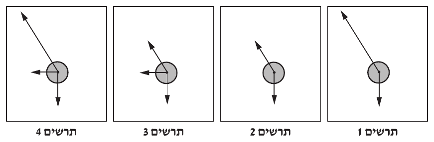 ארבעה תרשימי כוחות בארבע מסגרות מלבניות זו לצד זו, ממוספרים מימין לשמאל: «תרשים 1» (הימנית), «תרשים 2», «תרשים 3», «תרשים 4» (השמאלית). בכל מסגרת מצויר עיגול אפור מלא (הגוף) ומרכזו