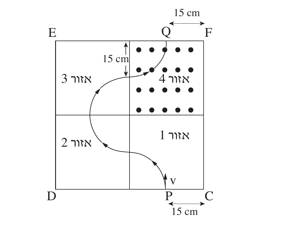 ריבוע גדול שקודקודיו מסומנים E (שמאל-עליון), F (ימין-עליון), D (שמאל-תחתון), C (ימין-תחתון). קו אנכי וקו אופקי במרכז מחלקים אותו לארבעה ריבועים קטנים שווים, המסומנים (לפי הכיתוב המ