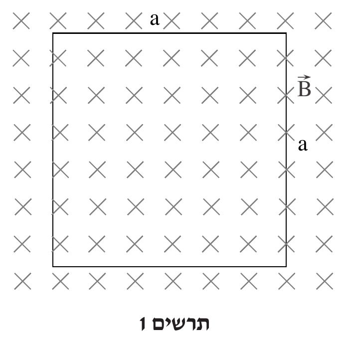 תרשים ("תרשים 1") של שדה מגנטי אחיד לתוך הדף, מיוצג בשדה סמלי X (איקסים אפורים) הממלא את כל התרשים ברשת סדירה. מסגרת ריבועית (קו שחור מלא, ריבוע) ממוקמת במרכז-שמאל של השדה, כשצלעה 
