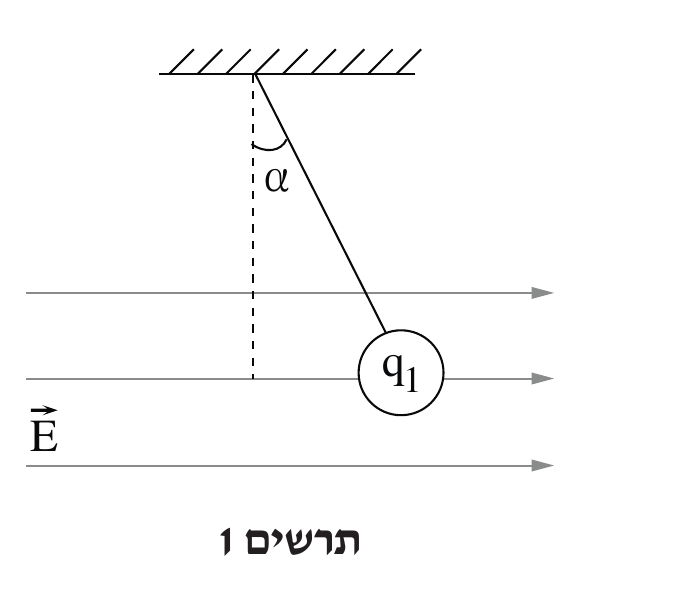 תרשים סטטי של כדור פלסטיק תלוי בחוט מתקרה מוצללת (הצללת אלכסון), עם זווית α מסומנת בין קו אנכי מקווקו (האנך) לבין החוט הנטוי ימינה. בקצה החוט עיגול ובתוכו הסימון q_1. משמאל לכדור,
