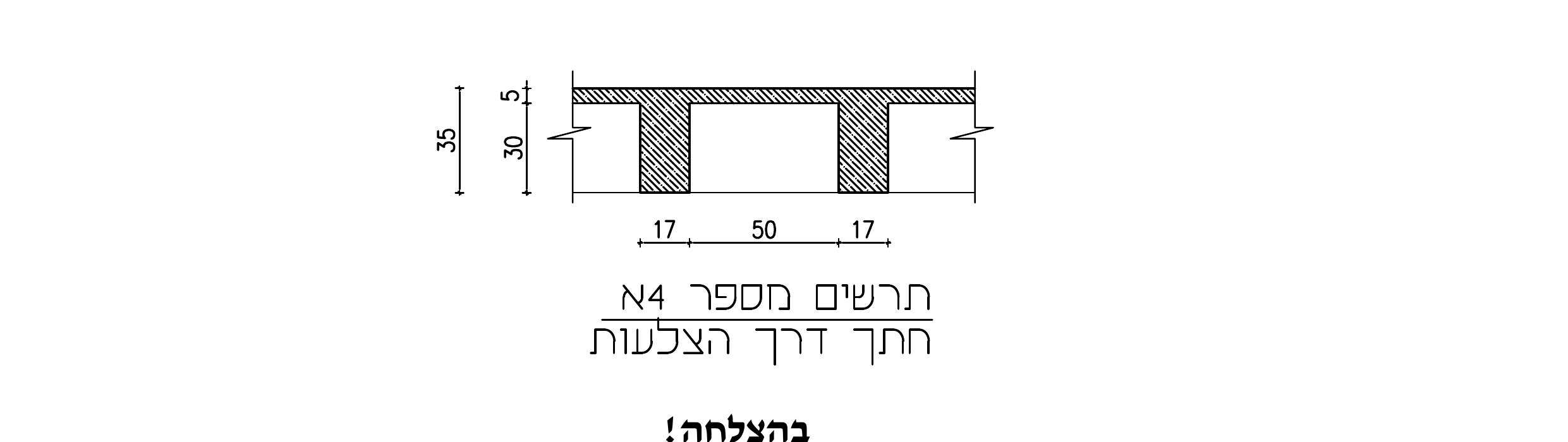 תרשים מספר 4א — חתך דרך הצלעות